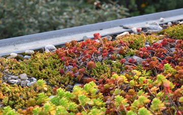 the cost of Carlton green roof installation
