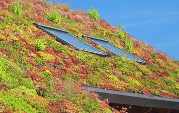 Carlton living roof systems